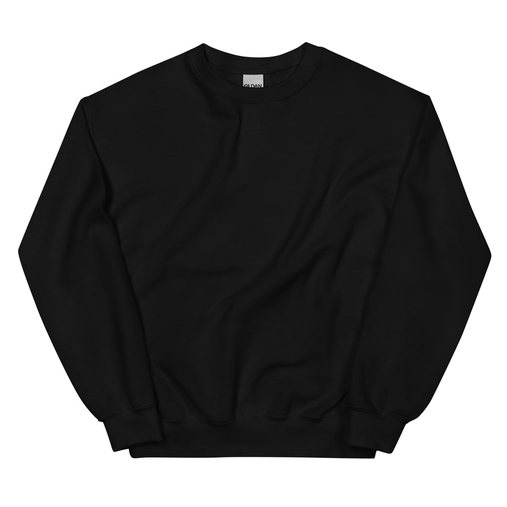 Front of the black Older Than Your HOA sweatshirt, plain with no print.