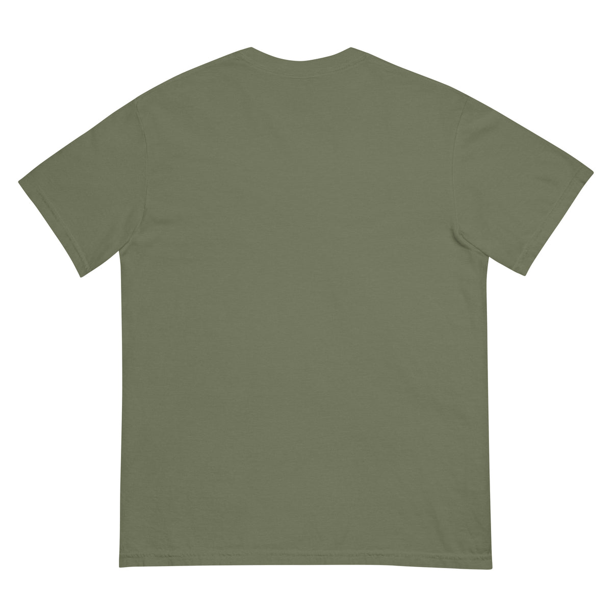 Plain Truth heavyweight tee in Moss, back view