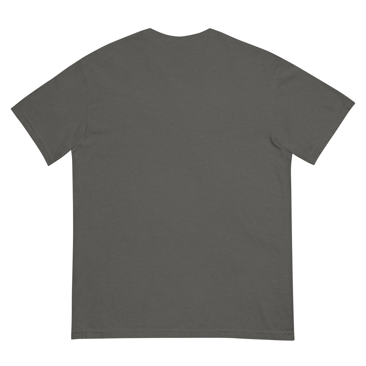 Plain Truth heavyweight tee in Pepper, back view