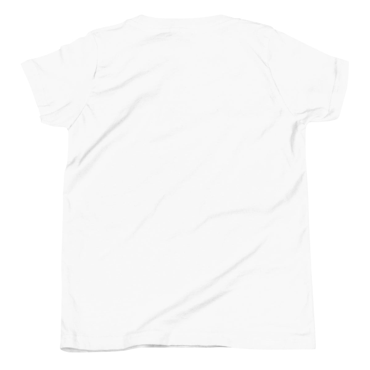 Raising Patriots Kids Tee kids apparel by Patriot Tactical, homestead American heritage design – back view
